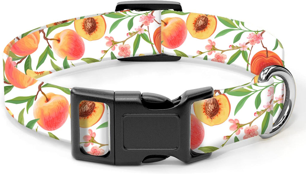 Dog Collar, Cute Dog Collar for Small Medium Large Dogs, Personalized Adjustable Soft Pet Collars with Quick Release Buckle for Walking Running, Cute Boho Mushrooms
