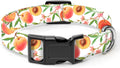 Dog Collar, Cute Dog Collar for Small Medium Large Dogs, Personalized Adjustable Soft Pet Collars with Quick Release Buckle for Walking Running, Cute Boho Mushrooms