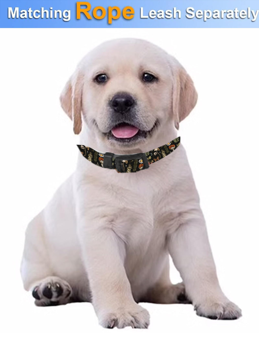Dog Collar, Cute Dog Collar for Small Medium Large Dogs, Personalized Adjustable Soft Pet Collars with Quick Release Buckle for Walking Running, Cute Boho Mushrooms