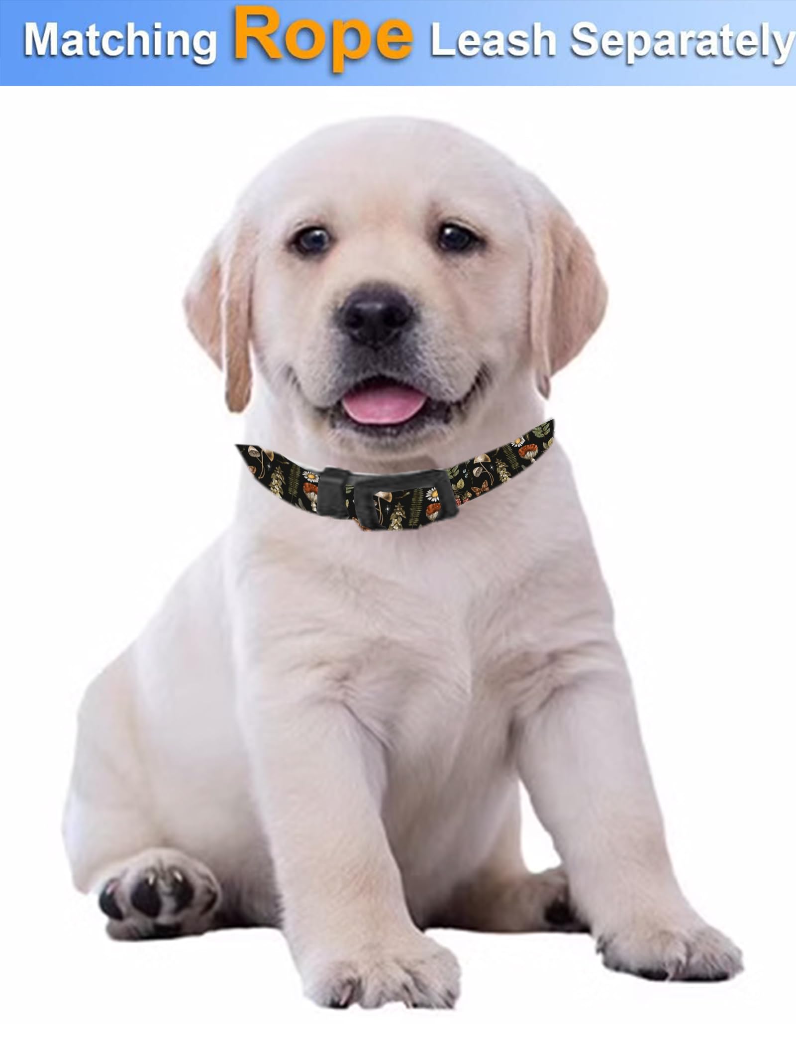 Dog Collar, Cute Dog Collar for Small Medium Large Dogs, Personalized Adjustable Soft Pet Collars with Quick Release Buckle for Walking Running, Cute Boho Mushrooms