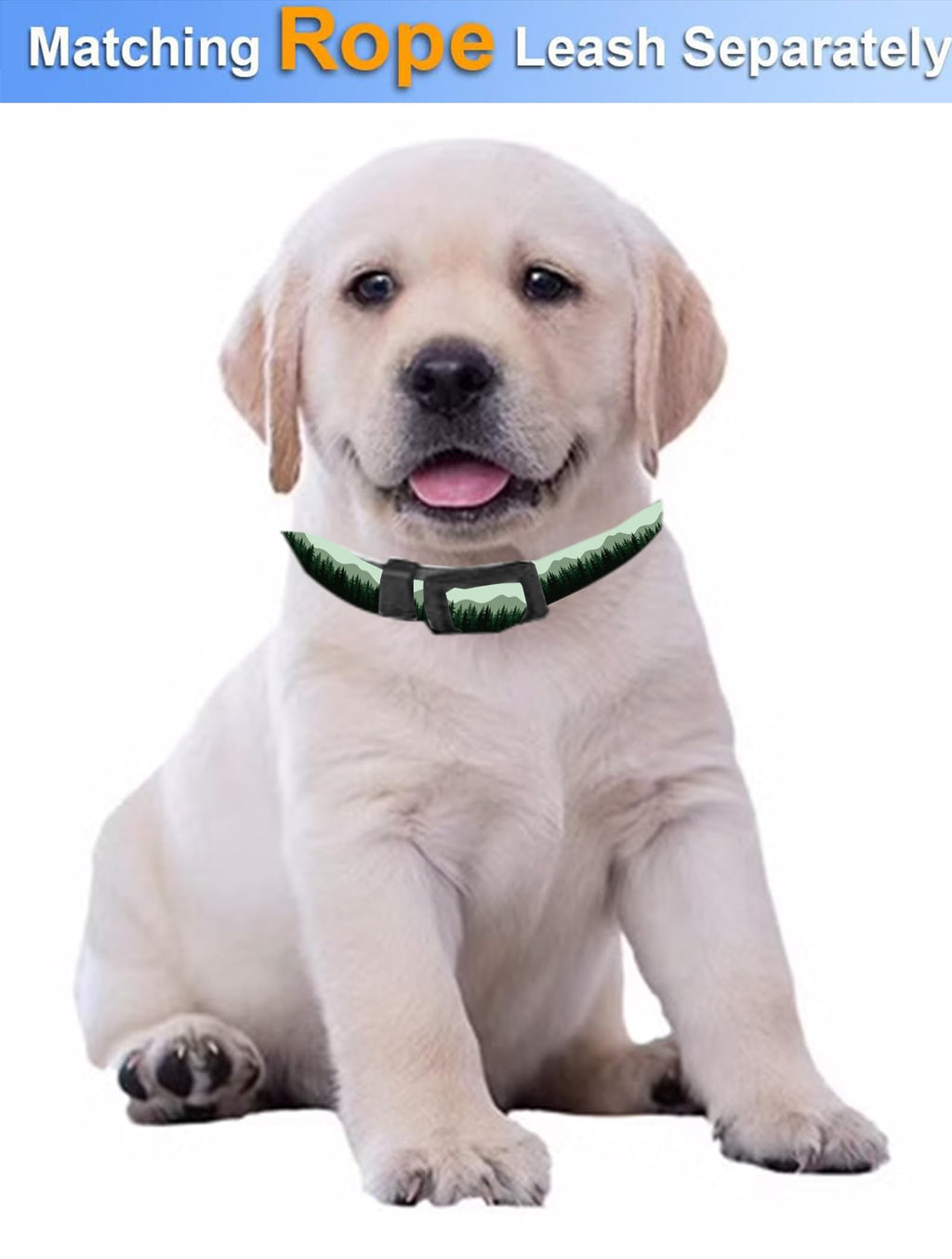 Dog Collar, Cute Dog Collar for Small Medium Large Dogs, Personalized Adjustable Soft Pet Collars with Quick Release Buckle for Walking Running, Cute Boho Mushrooms
