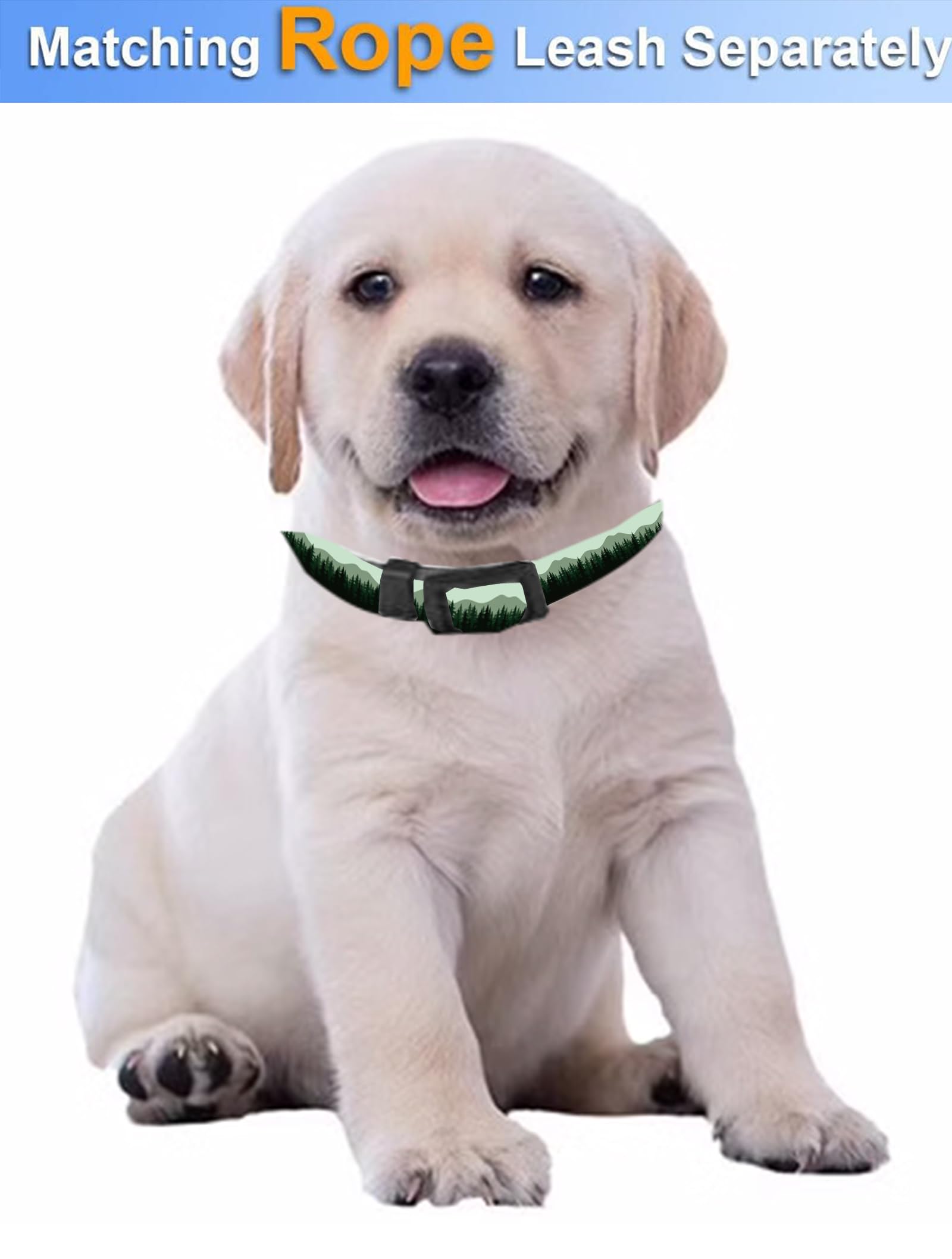 Dog Collar, Cute Dog Collar for Small Medium Large Dogs, Personalized Adjustable Soft Pet Collars with Quick Release Buckle for Walking Running, Cute Boho Mushrooms