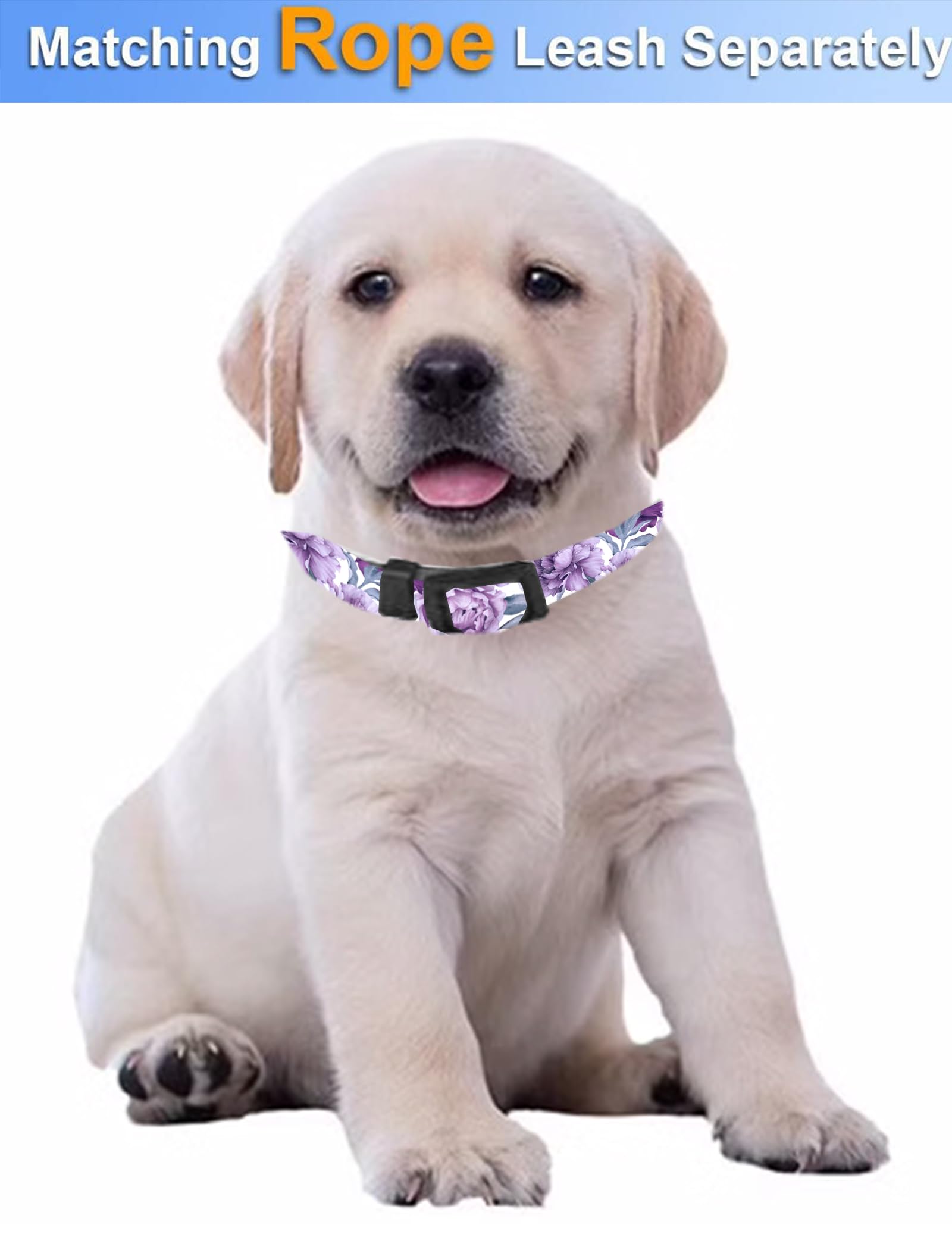 Dog Collar, Cute Dog Collar for Small Medium Large Dogs, Personalized Adjustable Soft Pet Collars with Quick Release Buckle for Walking Running, Cute Boho Mushrooms