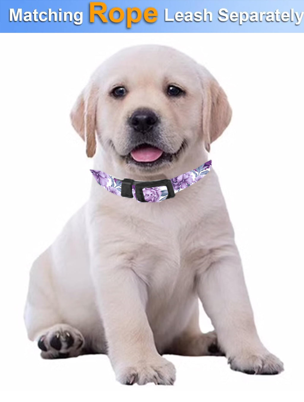 Dog Collar, Cute Dog Collar for Small Medium Large Dogs, Personalized Adjustable Soft Pet Collars with Quick Release Buckle for Walking Running, Cute Boho Mushrooms