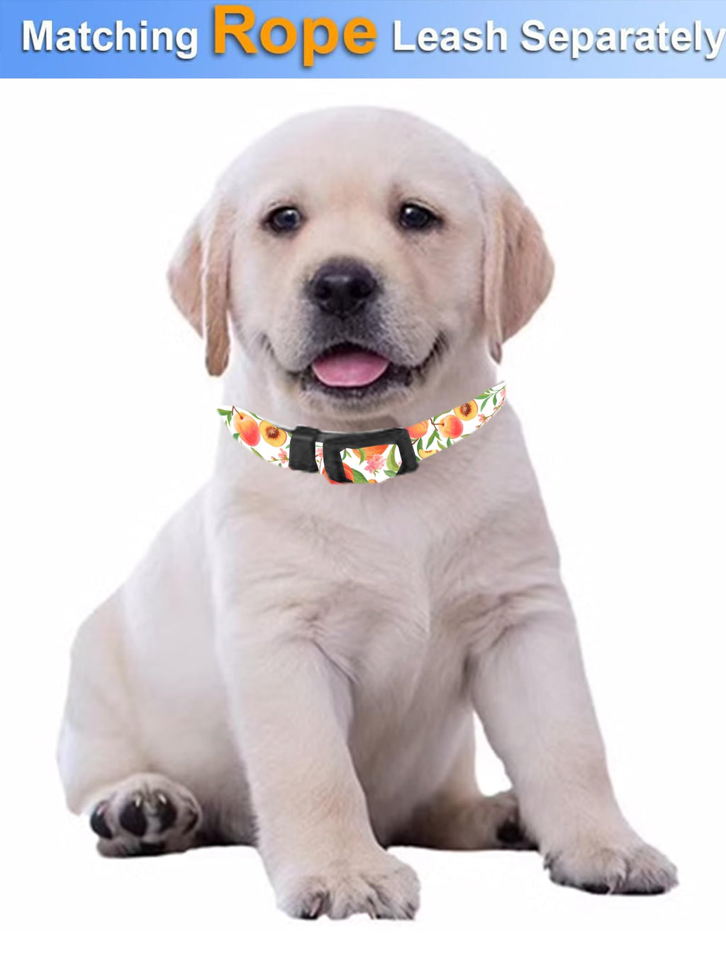 Dog Collar, Cute Dog Collar for Small Medium Large Dogs, Personalized Adjustable Soft Pet Collars with Quick Release Buckle for Walking Running, Cute Boho Mushrooms
