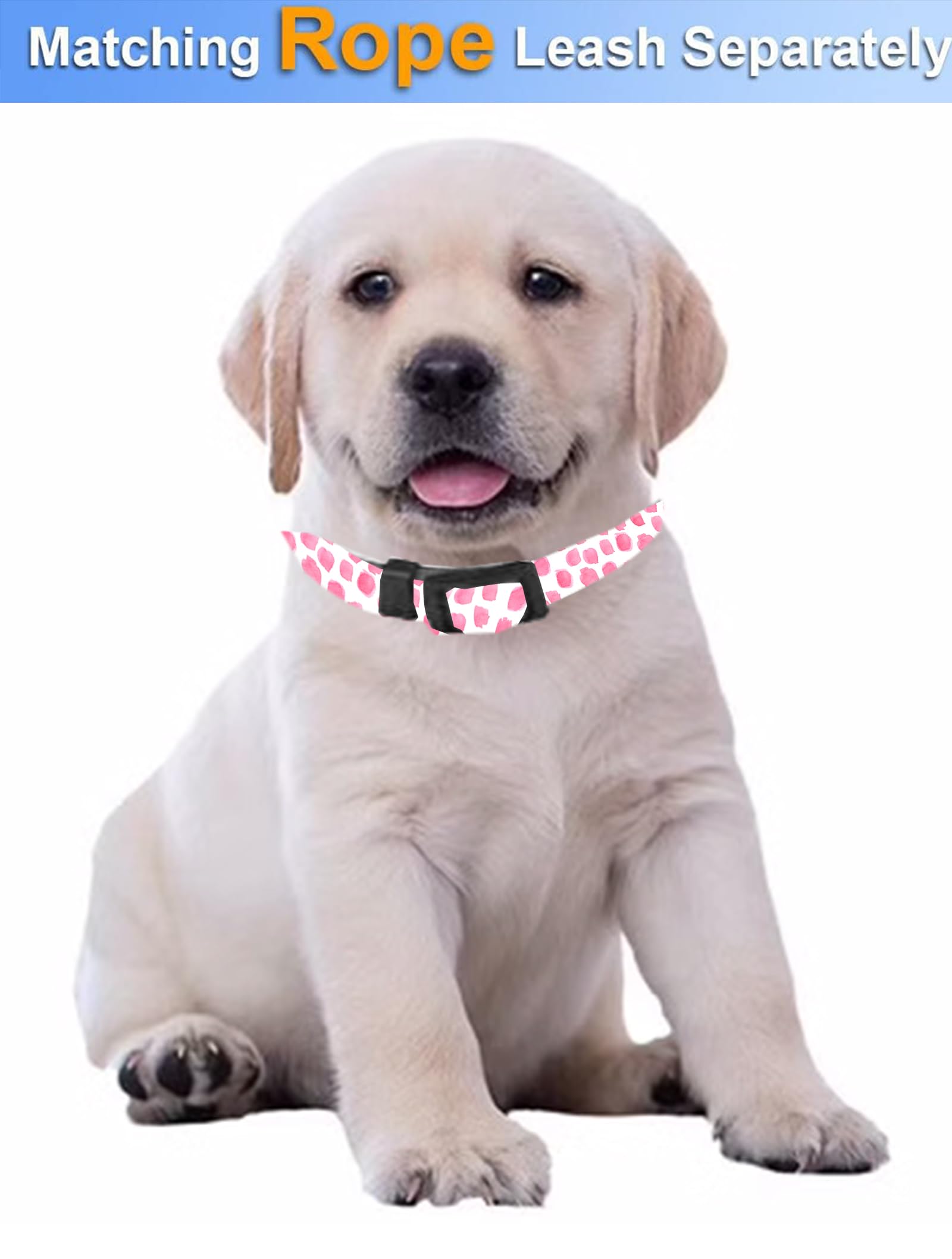 Dog Collar, Cute Dog Collar for Small Medium Large Dogs, Personalized Adjustable Soft Pet Collars with Quick Release Buckle for Walking Running, Cute Boho Mushrooms