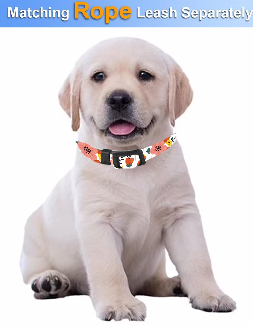 Dog Collar, Cute Dog Collar for Small Medium Large Dogs, Personalized Adjustable Soft Pet Collars with Quick Release Buckle for Walking Running, Cute Boho Mushrooms