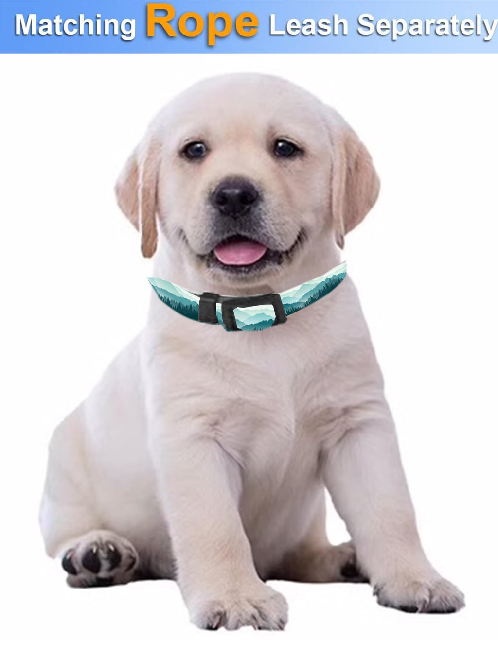 Dog Collar, Cute Dog Collar for Small Medium Large Dogs, Personalized Adjustable Soft Pet Collars with Quick Release Buckle for Walking Running, Cute Boho Mushrooms