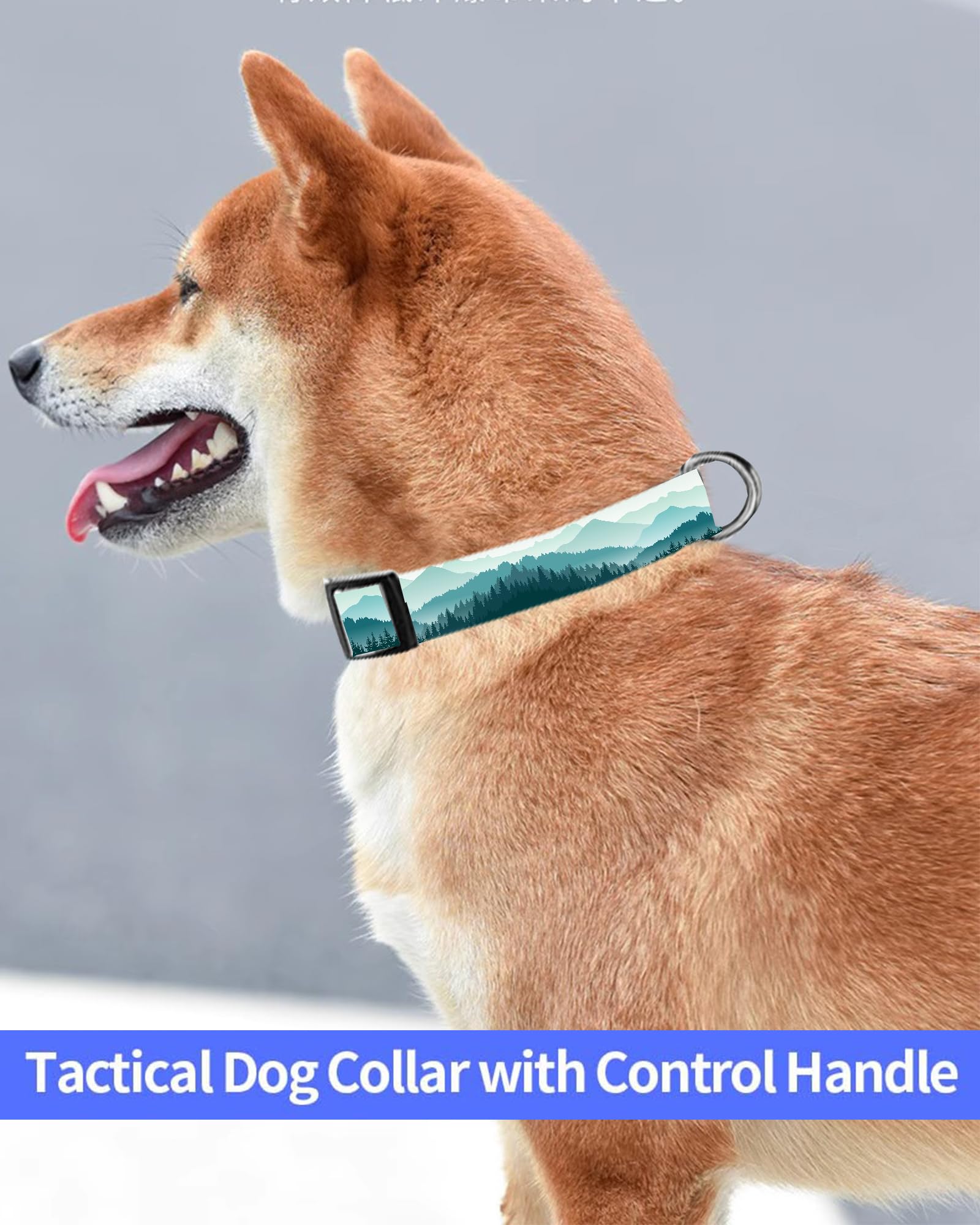 Dog Collar, Cute Dog Collar for Small Medium Large Dogs, Personalized Adjustable Soft Pet Collars with Quick Release Buckle for Walking Running, Cute Boho Mushrooms