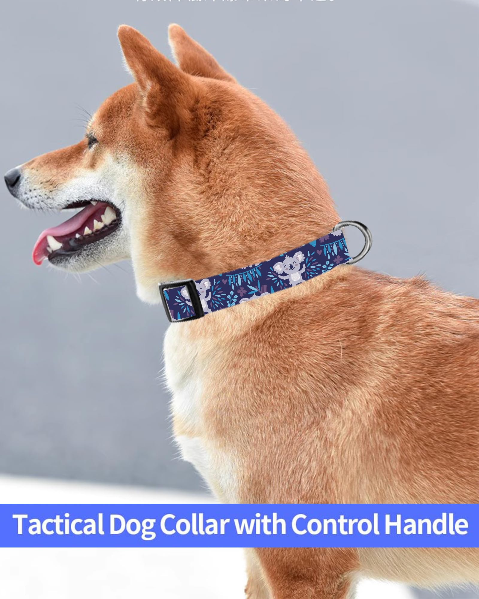 Dog Collar, Cute Dog Collar for Small Medium Large Dogs, Personalized Adjustable Soft Pet Collars with Quick Release Buckle for Walking Running, Cute Boho Mushrooms