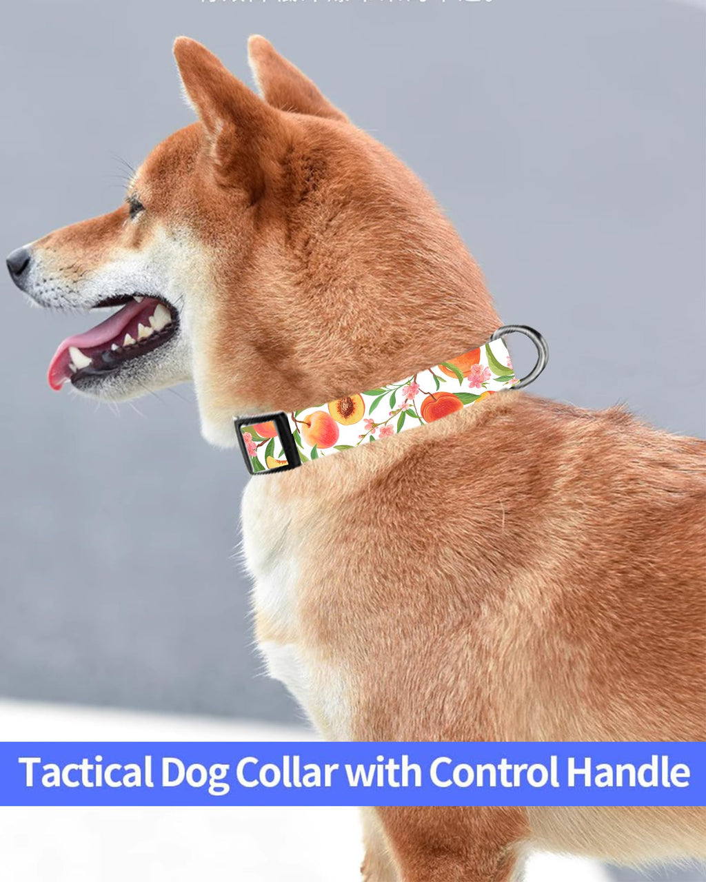 Dog Collar, Cute Dog Collar for Small Medium Large Dogs, Personalized Adjustable Soft Pet Collars with Quick Release Buckle for Walking Running, Cute Boho Mushrooms