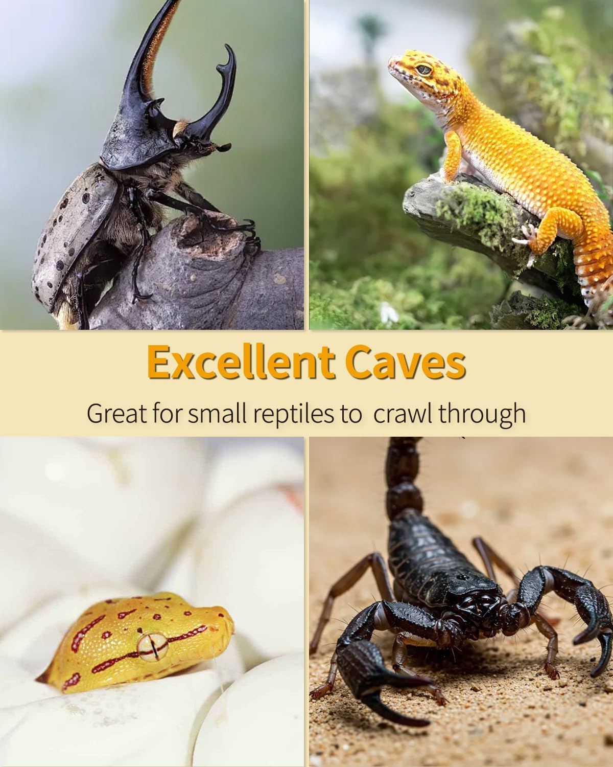 Uniclife Reptile Decoration, Mushroom House for Reptiles, Realistic Resin Terrarium Mushroom Cottage Decorations, Tortoise Decor Tank Accessories for Turtle, Gecko, Lizard & Bearded Dragon