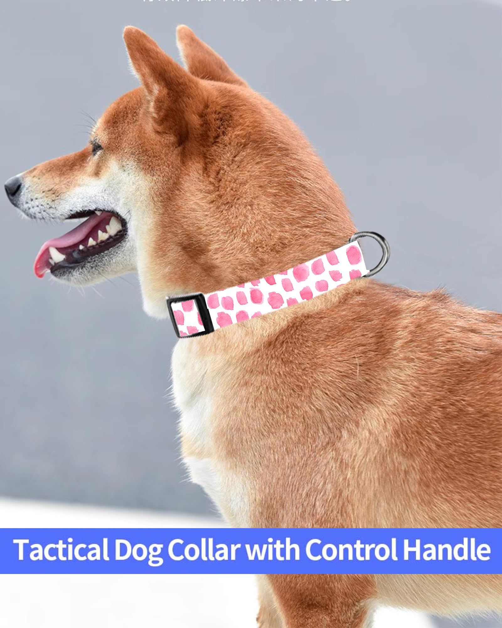 Dog Collar, Cute Dog Collar for Small Medium Large Dogs, Personalized Adjustable Soft Pet Collars with Quick Release Buckle for Walking Running, Cute Boho Mushrooms