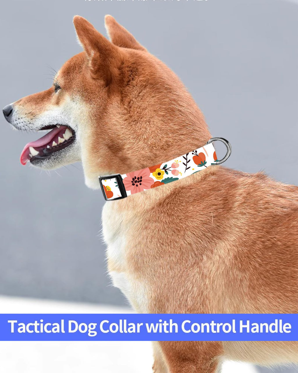 Dog Collar, Cute Dog Collar for Small Medium Large Dogs, Personalized Adjustable Soft Pet Collars with Quick Release Buckle for Walking Running, Cute Boho Mushrooms