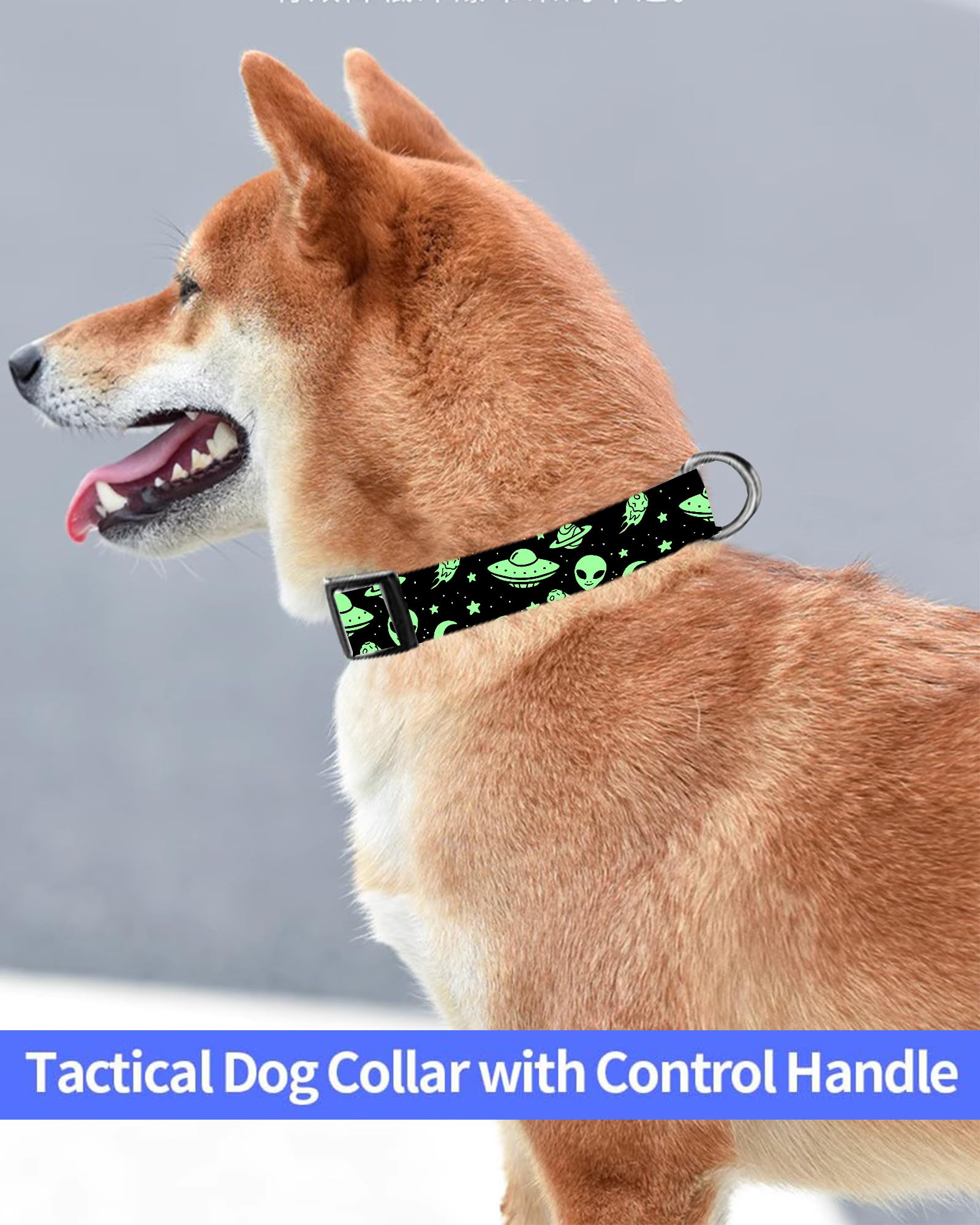 Dog Collar, Cute Dog Collar for Small Medium Large Dogs, Personalized Adjustable Soft Pet Collars with Quick Release Buckle for Walking Running, Cute Boho Mushrooms