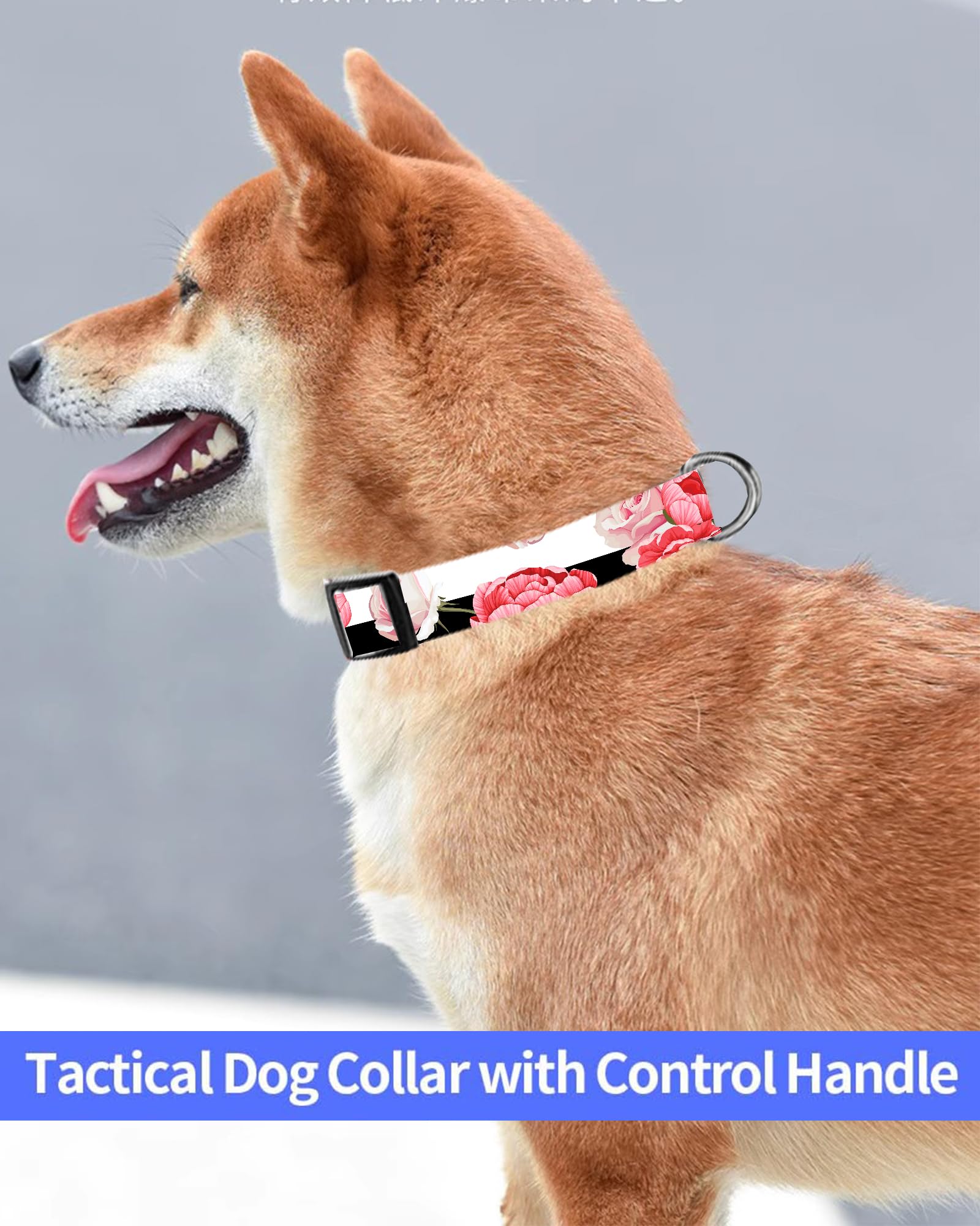 Dog Collar, Cute Dog Collar for Small Medium Large Dogs, Personalized Adjustable Soft Pet Collars with Quick Release Buckle for Walking Running, Cute Boho Mushrooms
