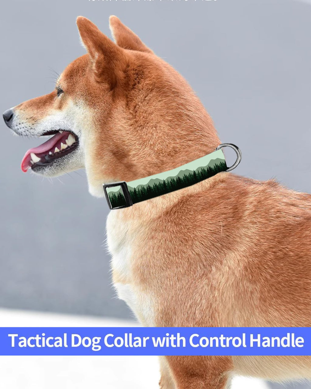 Dog Collar, Cute Dog Collar for Small Medium Large Dogs, Personalized Adjustable Soft Pet Collars with Quick Release Buckle for Walking Running, Cute Boho Mushrooms
