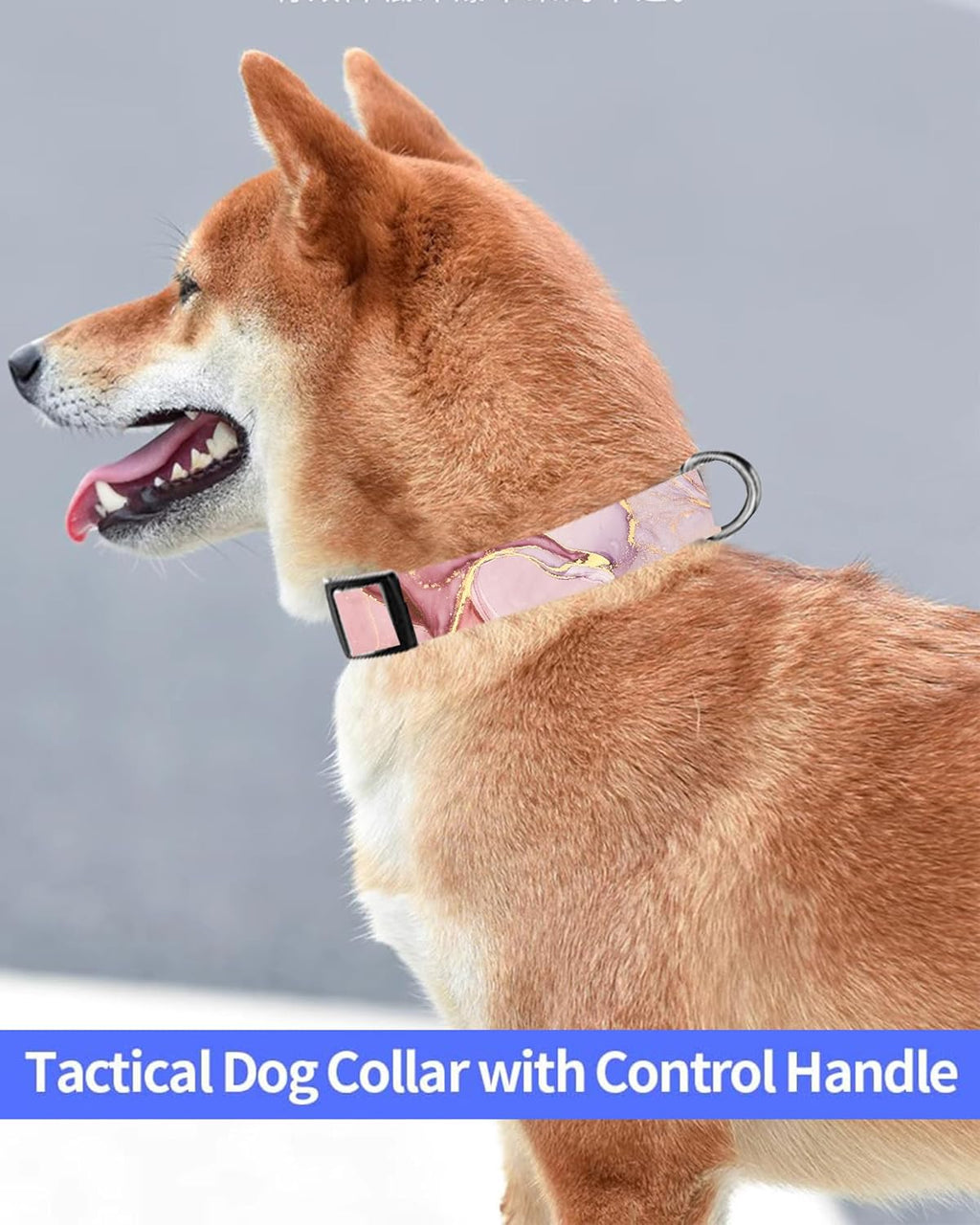 Dog Collar, Cute Dog Collar for Small Medium Large Dogs, Personalized Adjustable Soft Pet Collars with Quick Release Buckle for Walking Running, Cute Boho Mushrooms