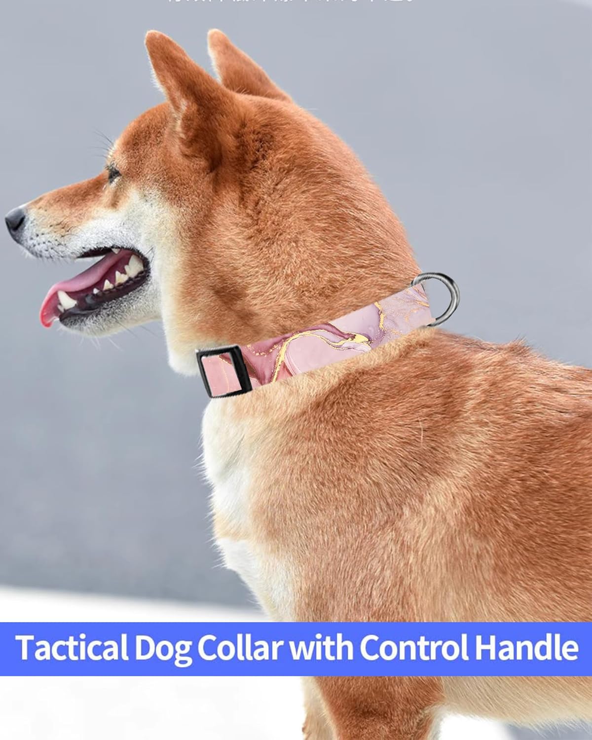 Dog Collar, Cute Dog Collar for Small Medium Large Dogs, Personalized Adjustable Soft Pet Collars with Quick Release Buckle for Walking Running, Cute Boho Mushrooms