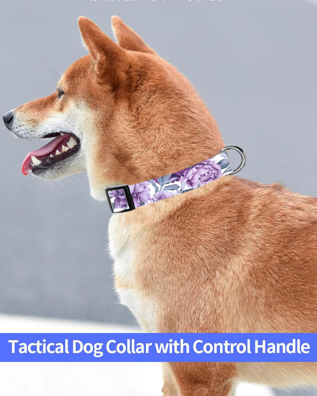Dog Collar, Cute Dog Collar for Small Medium Large Dogs, Personalized Adjustable Soft Pet Collars with Quick Release Buckle for Walking Running, Cute Boho Mushrooms