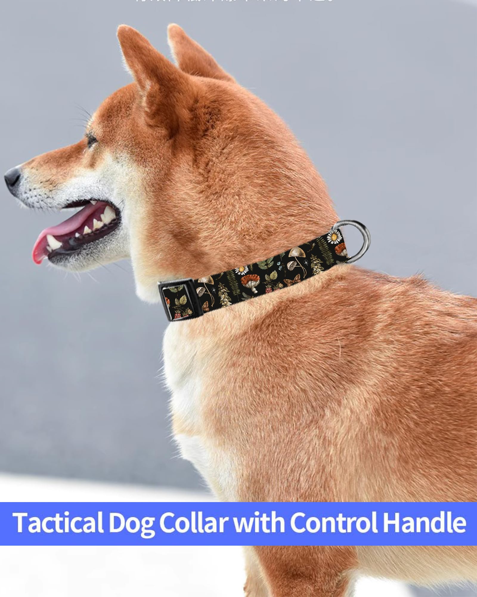Dog Collar, Cute Dog Collar for Small Medium Large Dogs, Personalized Adjustable Soft Pet Collars with Quick Release Buckle for Walking Running, Cute Boho Mushrooms
