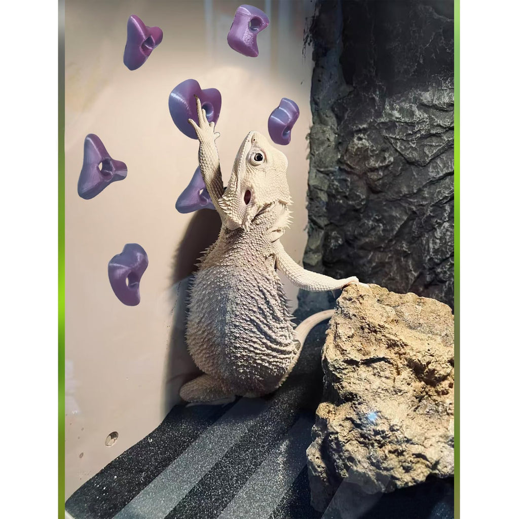 Mushroom Terrarium Decor & Climbing Hold Kit,with 12 Rock Holds, Suction Cups & Adhesive Dots for Geckos, Frogs, Small Lizards & Snakes in Dry/Semi-Moist Habitats (Lavender Silver)