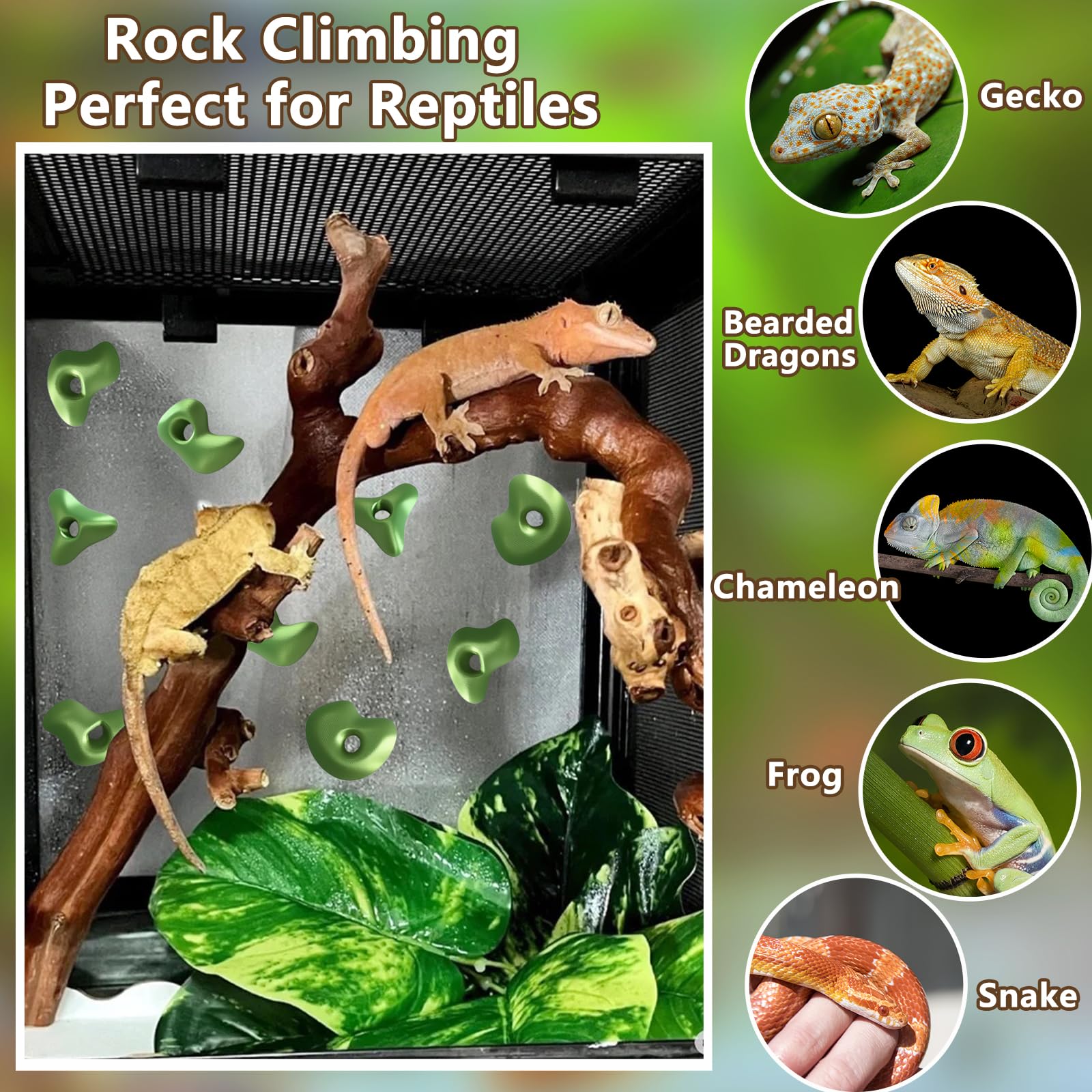 Mushroom Terrarium Decor & Climbing Hold Kit,with 12 Rock Holds, Suction Cups & Adhesive Dots for Geckos, Frogs, Small Lizards & Snakes in Dry/Semi-Moist Habitats (Lavender Silver)