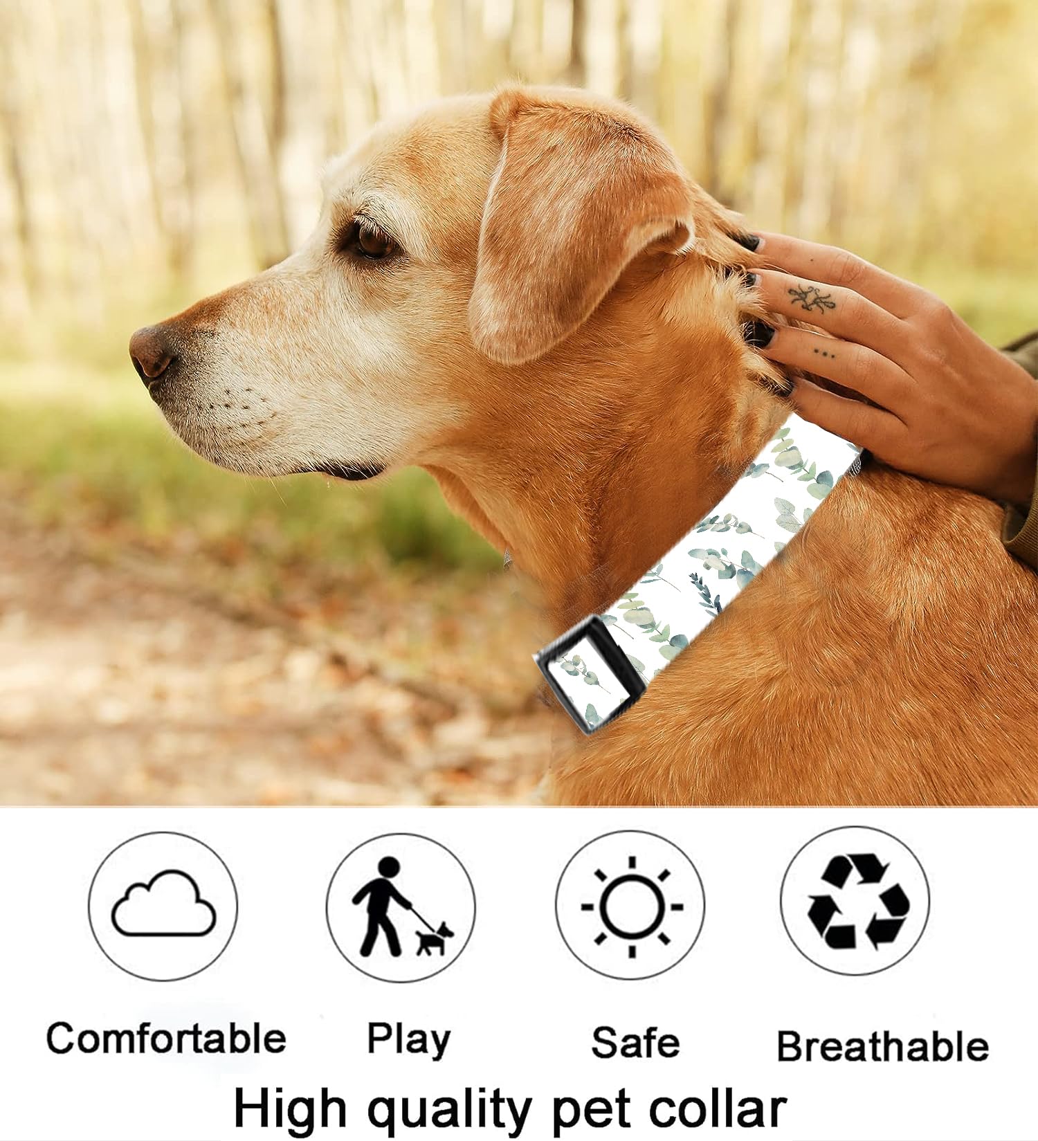 Dog Collar, Cute Dog Collar for Small Medium Large Dogs, Personalized Adjustable Soft Pet Collars with Quick Release Buckle for Walking Running, Cute Boho Mushrooms