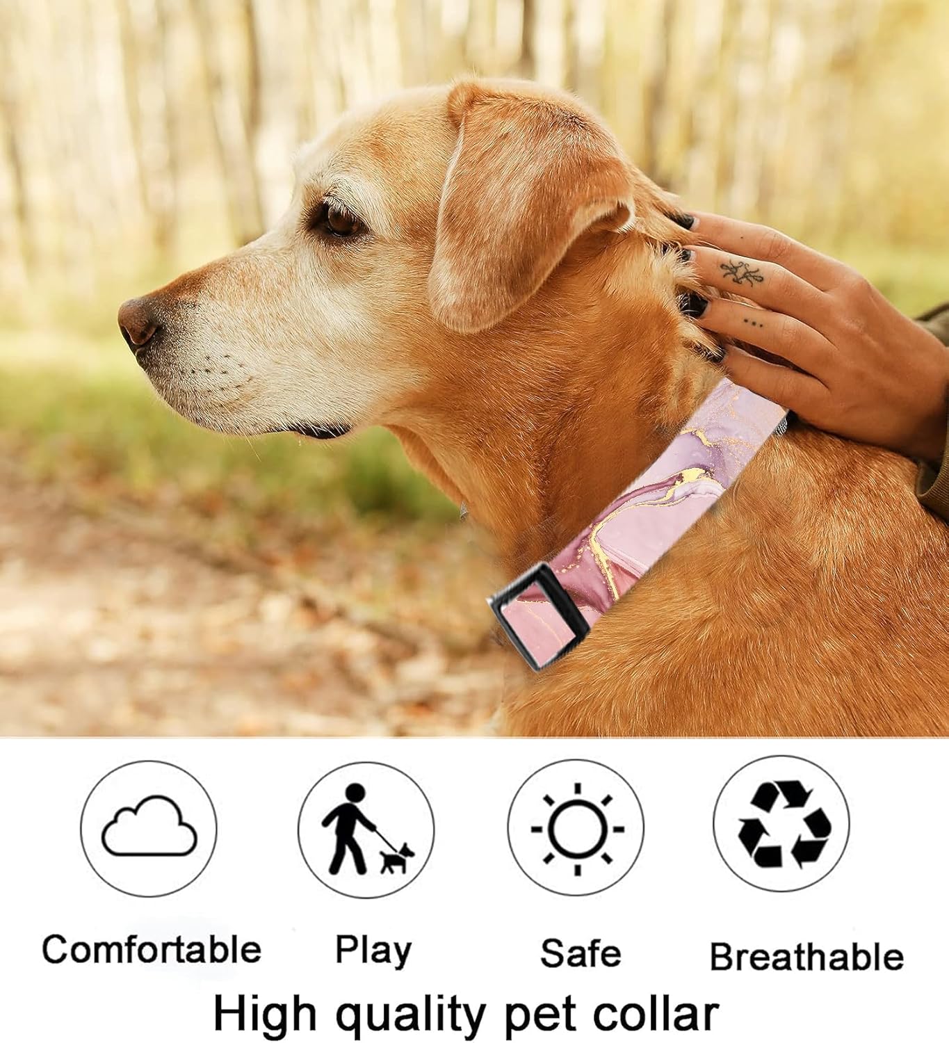 Dog Collar, Cute Dog Collar for Small Medium Large Dogs, Personalized Adjustable Soft Pet Collars with Quick Release Buckle for Walking Running, Cute Boho Mushrooms