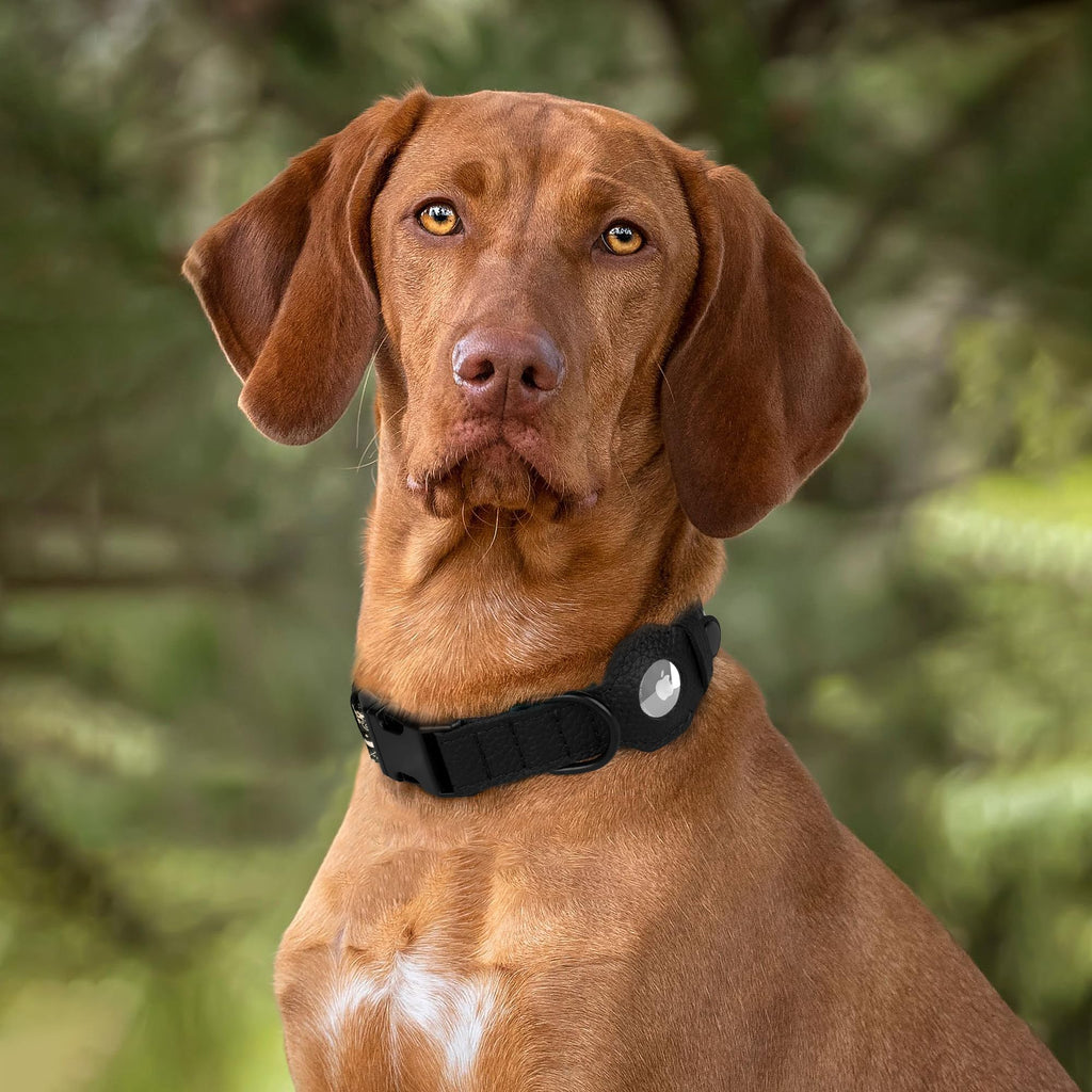 AirTag Dog Collar with Metal Buckle - Printed Nylon Soft Leather Dog Collar with Apple AirTag Holder - Secure Tracking GPS Pet Collars for Girl Boy Small Large Dogs (S, 12"-15" Neck Fit, Space)