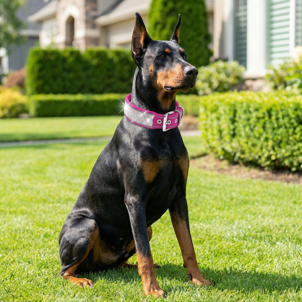 Rhinestone Dog Collar, Dazzling Sparkling Soft Suede Reflective Large Dog Collar Crystal Diamond Collar for Medium & Large Dogs (L:19-23", Black)