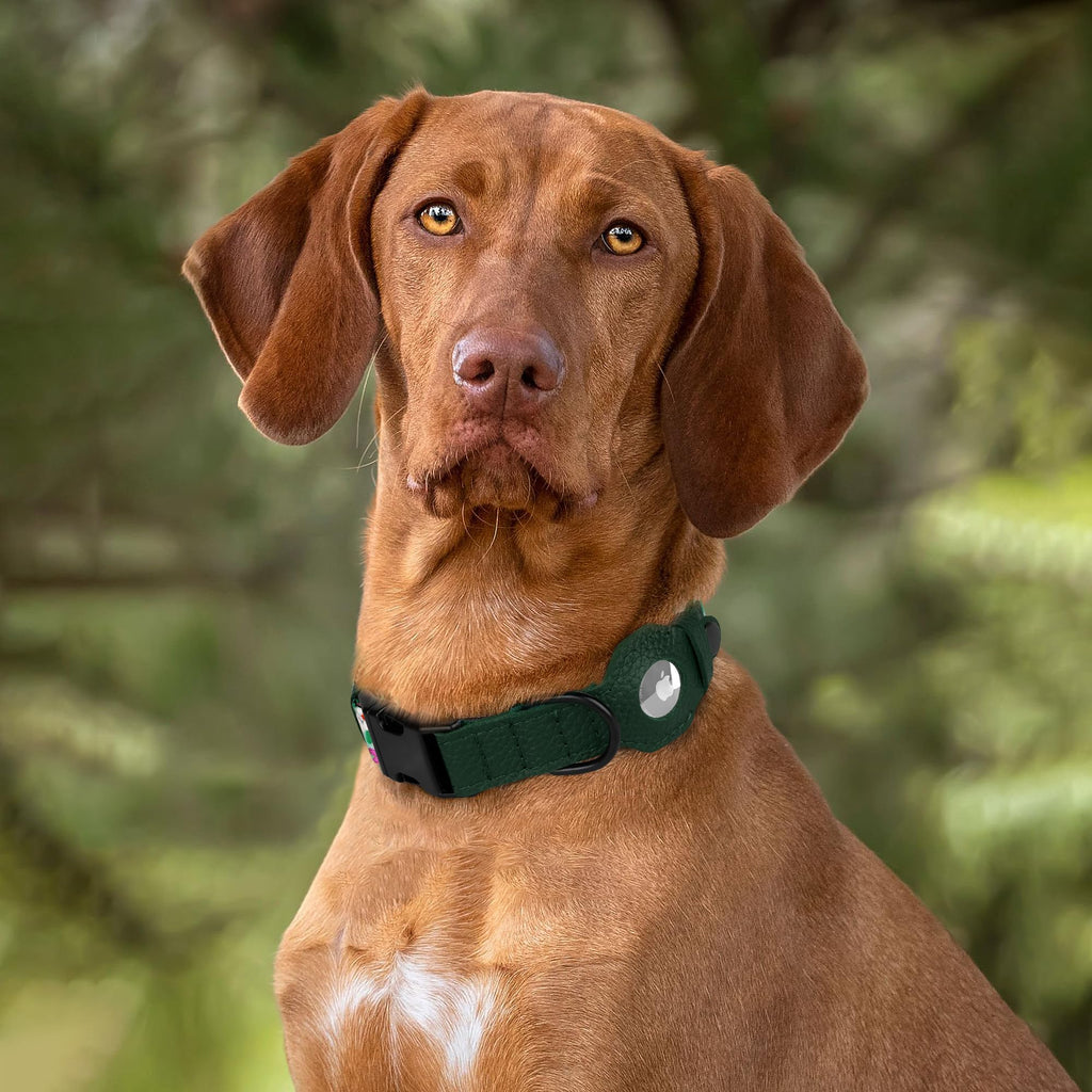 AirTag Dog Collar with Metal Buckle - Printed Nylon Soft Leather Dog Collar with Apple AirTag Holder - Secure Tracking GPS Pet Collars for Girl Boy Small Large Dogs (S, 12"-15" Neck Fit, Space)