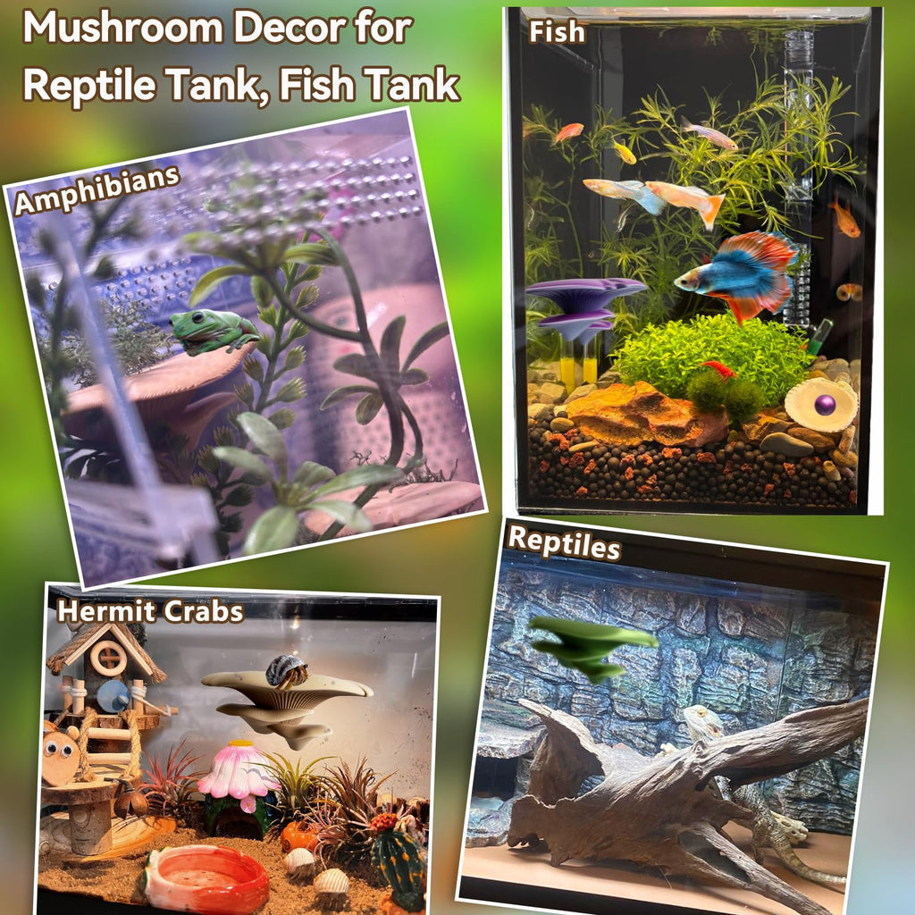 Mushroom Terrarium Decor & Climbing Hold Kit,with 12 Rock Holds, Suction Cups & Adhesive Dots for Geckos, Frogs, Small Lizards & Snakes in Dry/Semi-Moist Habitats (Lavender Silver)