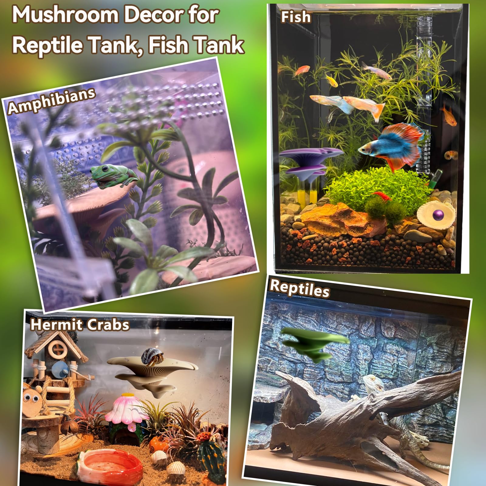 Mushroom Terrarium Decor & Climbing Hold Kit,with 12 Rock Holds, Suction Cups & Adhesive Dots for Geckos, Frogs, Small Lizards & Snakes in Dry/Semi-Moist Habitats (Lavender Silver)