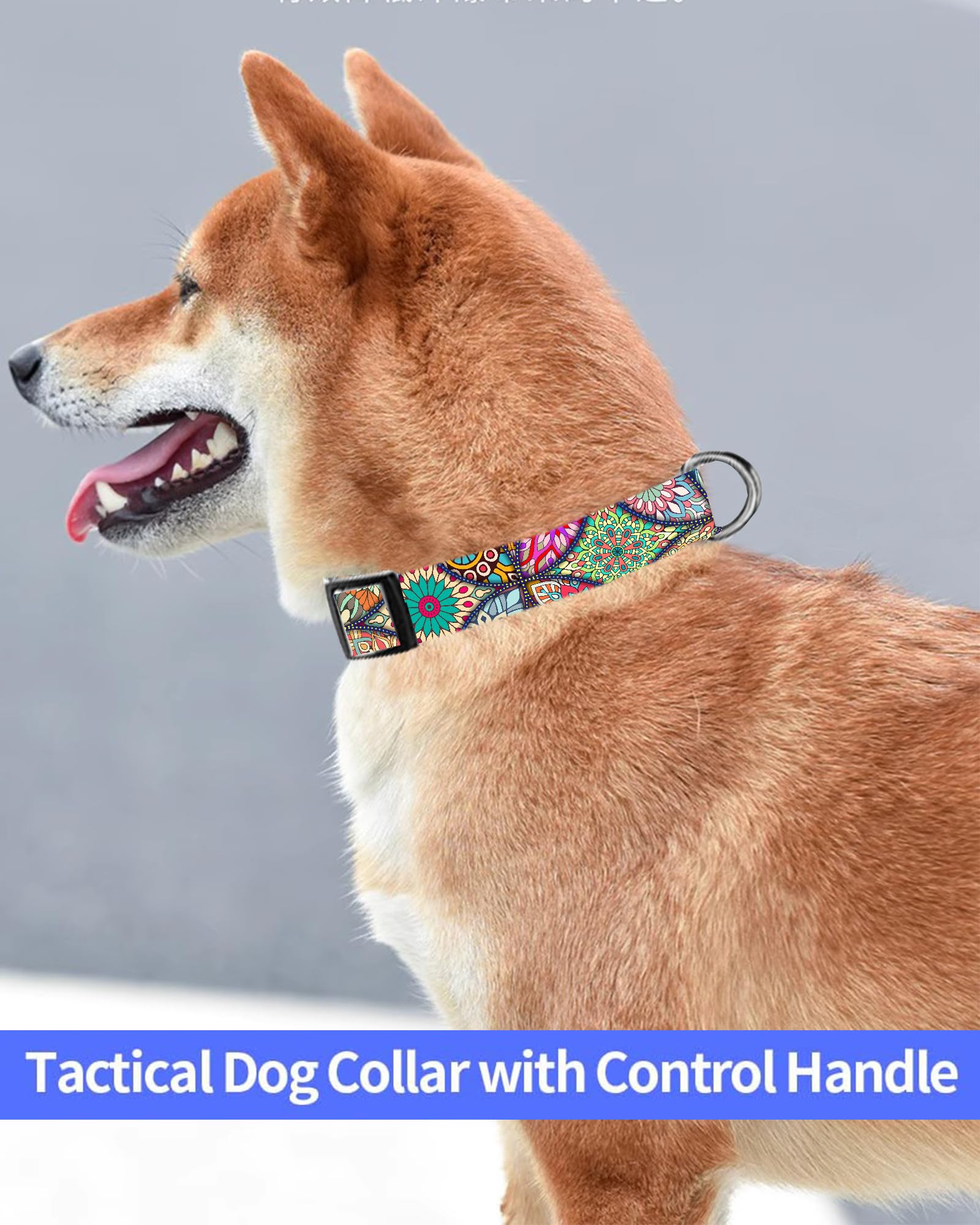 Dog Collar, Cute Dog Collar for Small Medium Large Dogs, Personalized Adjustable Soft Pet Collars with Quick Release Buckle for Walking Running, Cute Boho Mushrooms