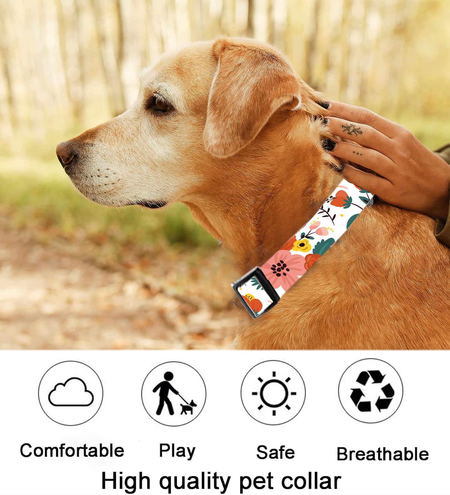 Dog Collar, Cute Dog Collar for Small Medium Large Dogs, Personalized Adjustable Soft Pet Collars with Quick Release Buckle for Walking Running, Cute Boho Mushrooms