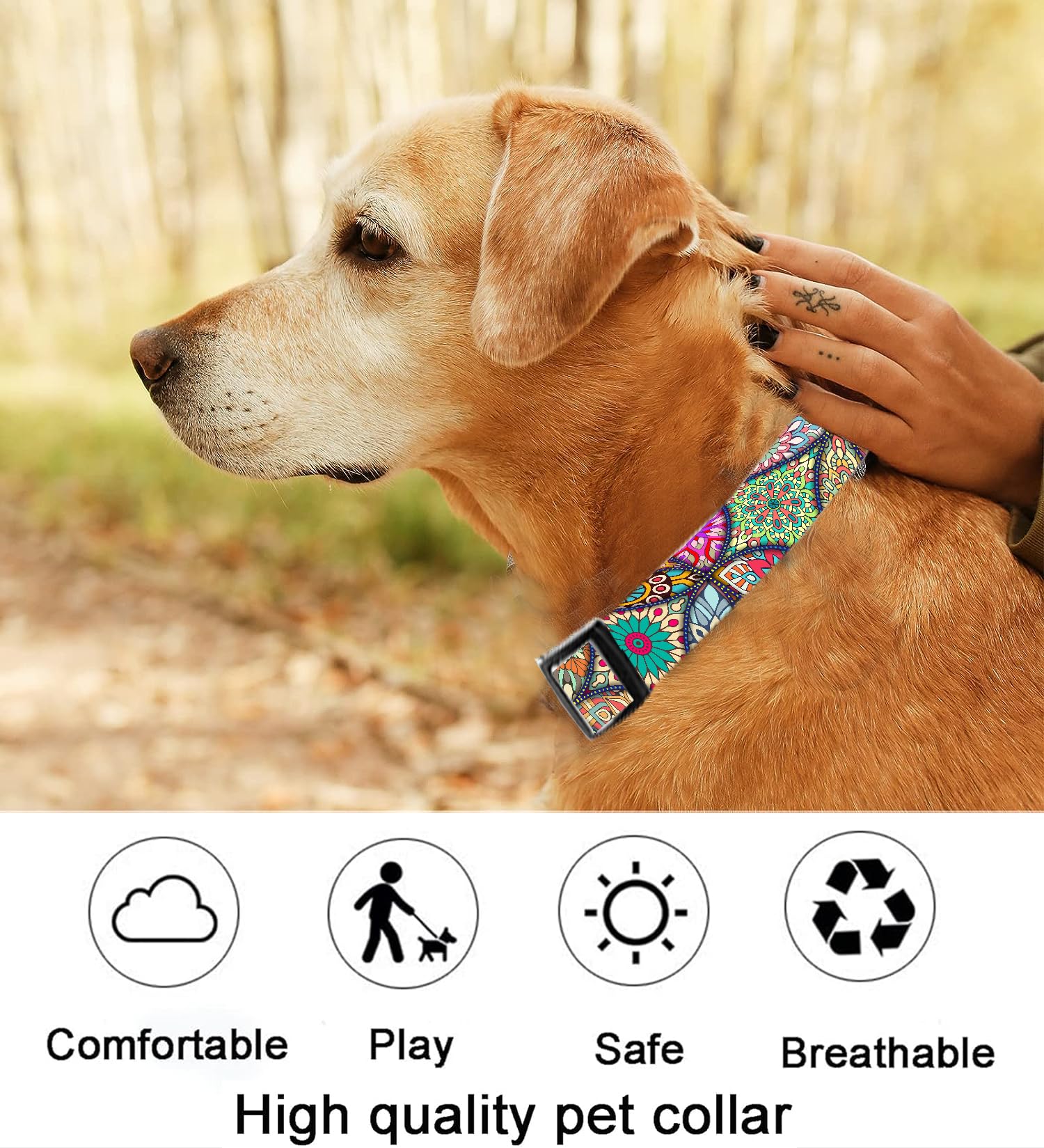Dog Collar, Cute Dog Collar for Small Medium Large Dogs, Personalized Adjustable Soft Pet Collars with Quick Release Buckle for Walking Running, Cute Boho Mushrooms