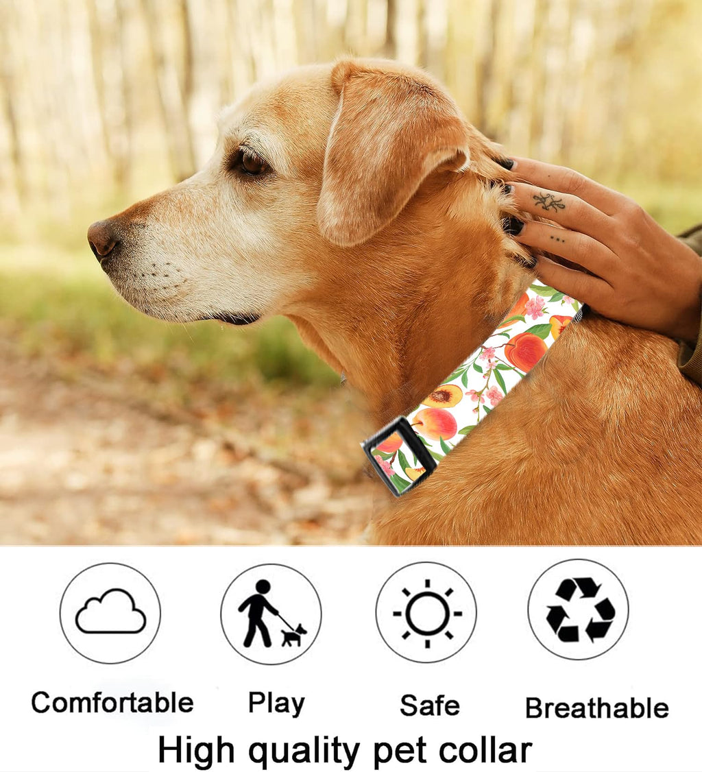 Dog Collar, Cute Dog Collar for Small Medium Large Dogs, Personalized Adjustable Soft Pet Collars with Quick Release Buckle for Walking Running, Cute Boho Mushrooms