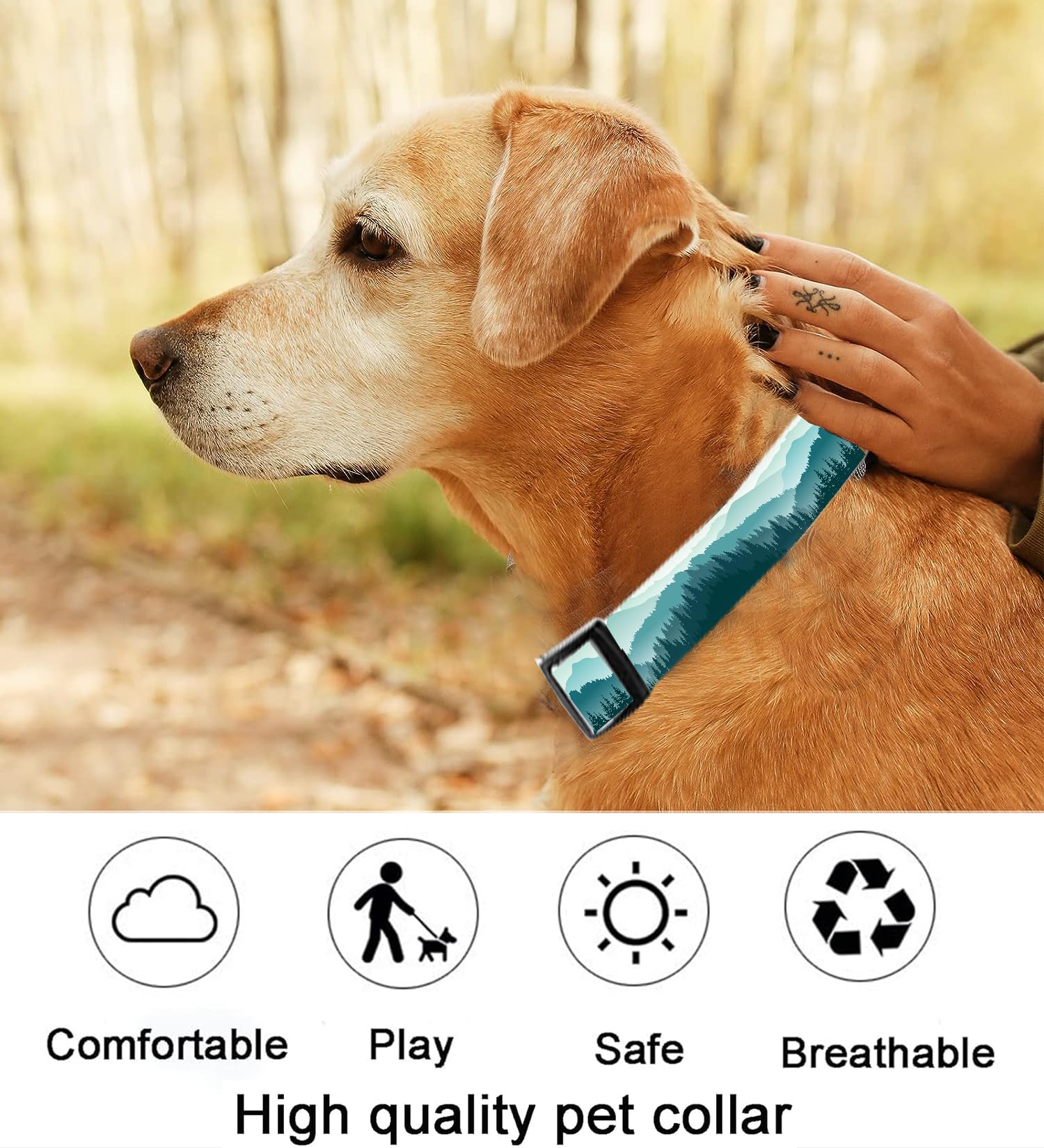 Dog Collar, Cute Dog Collar for Small Medium Large Dogs, Personalized Adjustable Soft Pet Collars with Quick Release Buckle for Walking Running, Cute Boho Mushrooms
