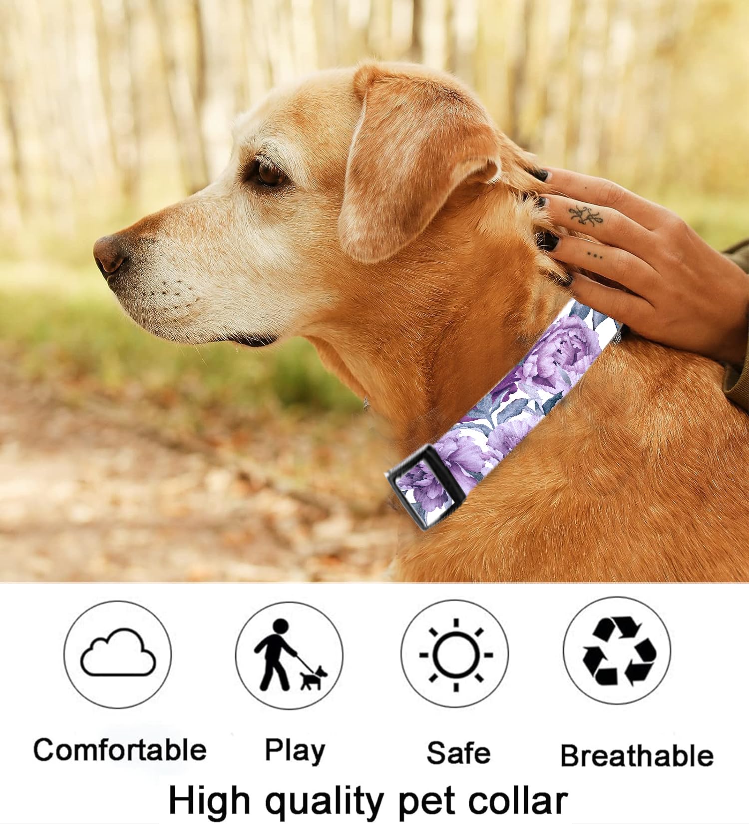 Dog Collar, Cute Dog Collar for Small Medium Large Dogs, Personalized Adjustable Soft Pet Collars with Quick Release Buckle for Walking Running, Cute Boho Mushrooms